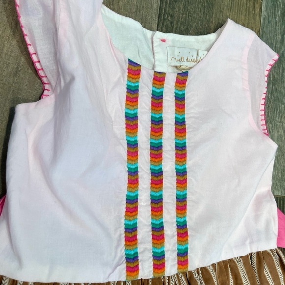 WELL DRESSED WOLF WDW FALL FESTIVAL DRESS size 8 PINK BROWN Embroidery - Picture 2 of 8